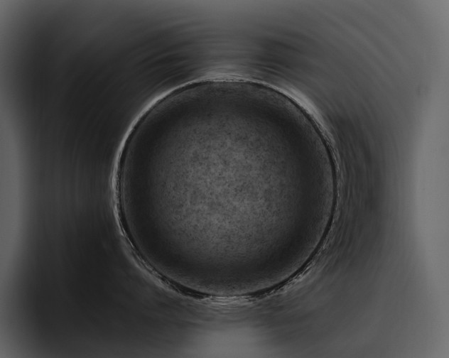 X0000095940864200801111328
