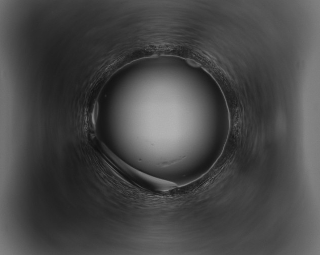 X0000095940866200801111328