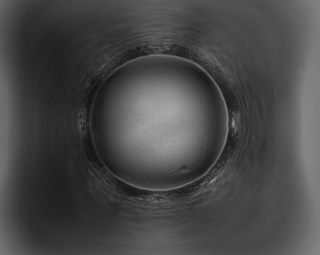 X0000095940867200801111328
