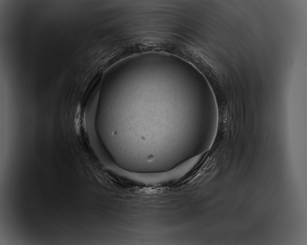 X0000095940868200801111328