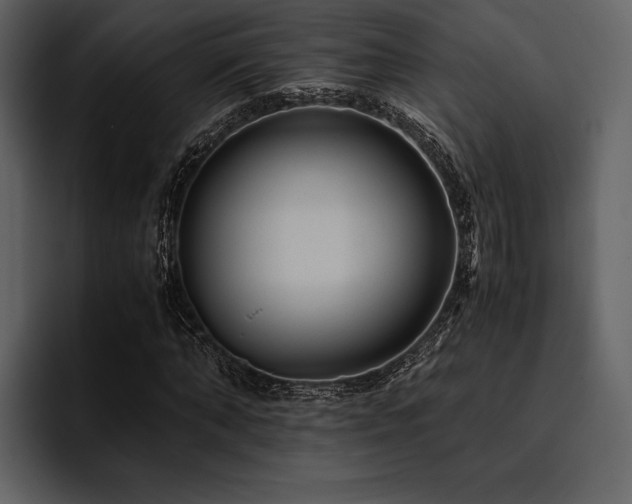 X0000095940870200801111328