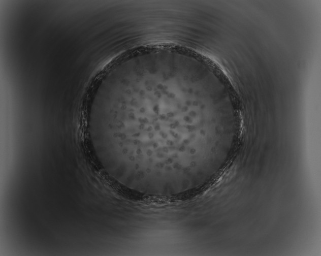 X0000095940871200801111328