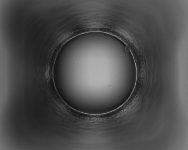 X0000095940873200801111328