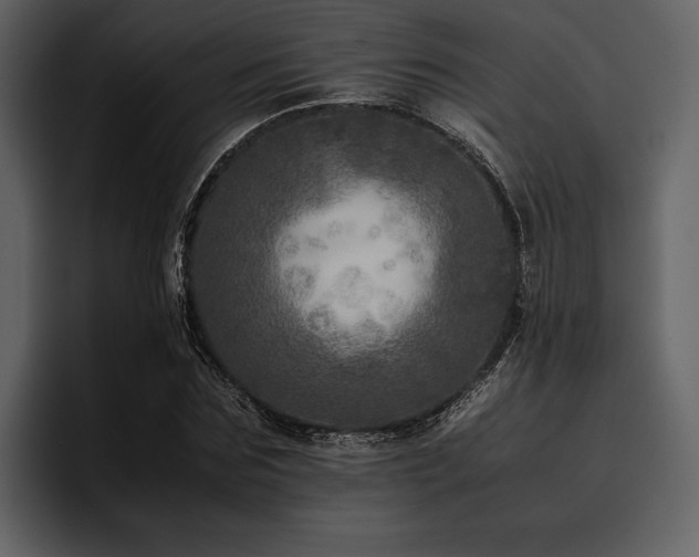 X0000095940875200801111328