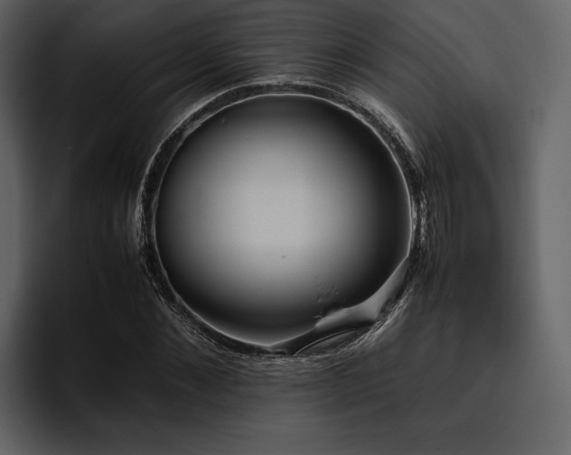 X0000095940876200801111328