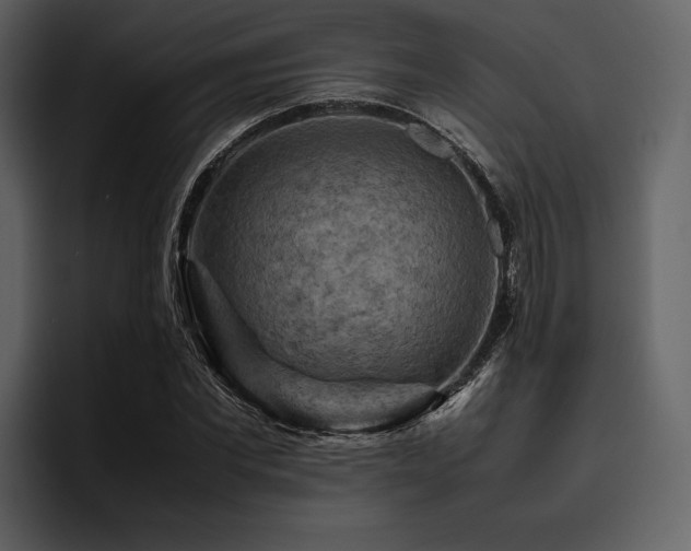 X0000095940877200801111328