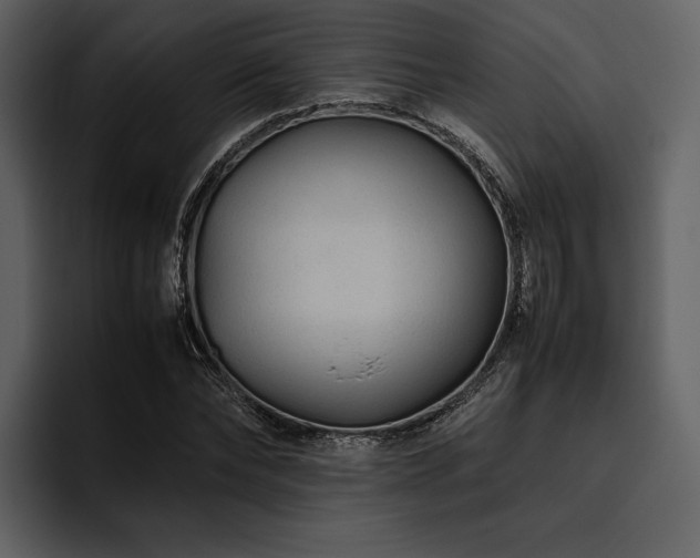 X0000095940878200801111328