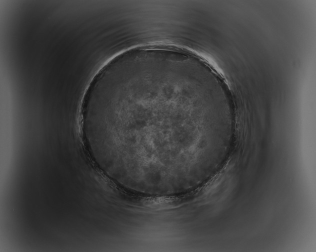 X0000095940879200801111328