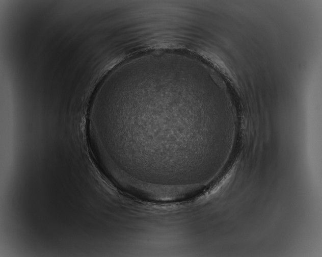 X0000095940881200801111328