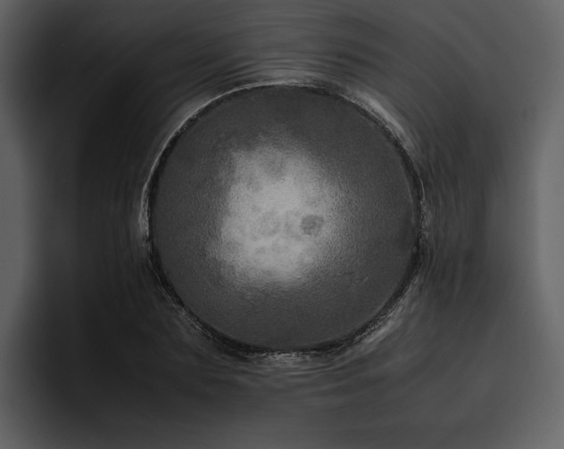 X0000095940883200801111328