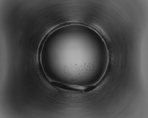 X0000095940884200801111328