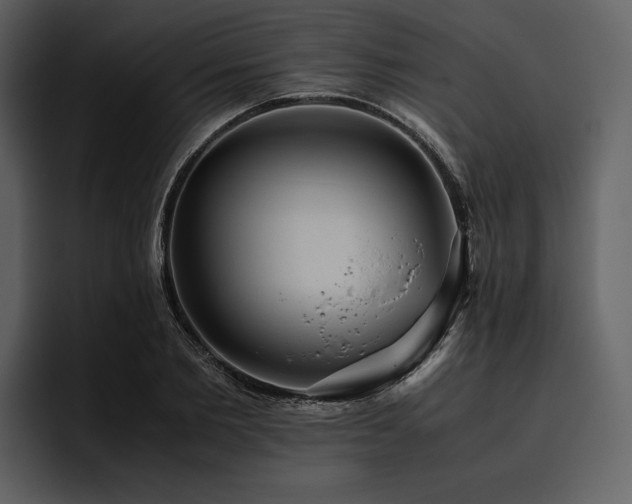 X0000095940885200801111328