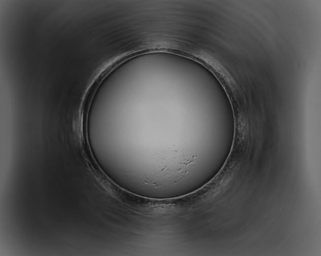 X0000095940886200801111328