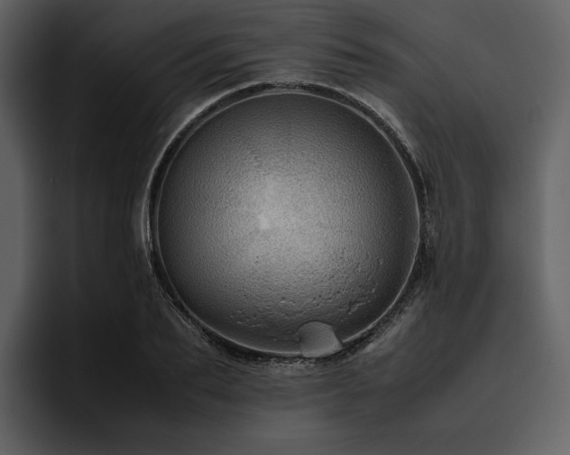 X0000095940887200801111328