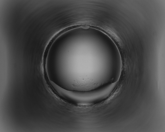 X0000095940888200801111327