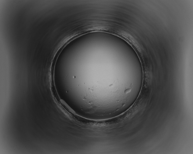 X0000095940890200801111327