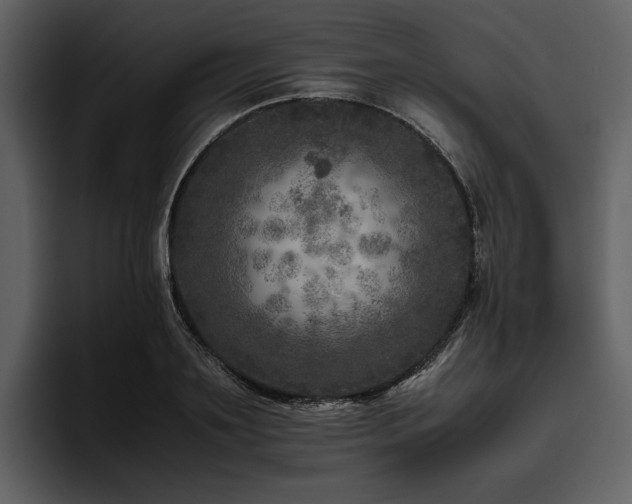 X0000095940891200801111327