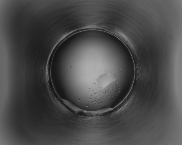 X0000095940892200801111327