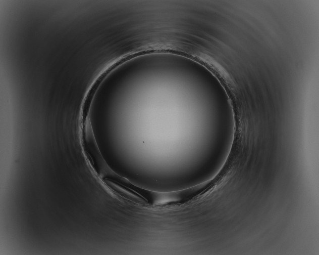 X0000095940894200801111327