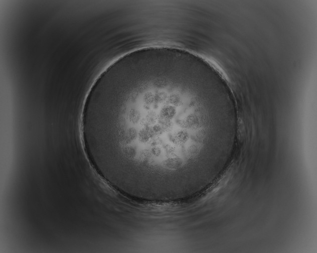 X0000095940895200801111327
