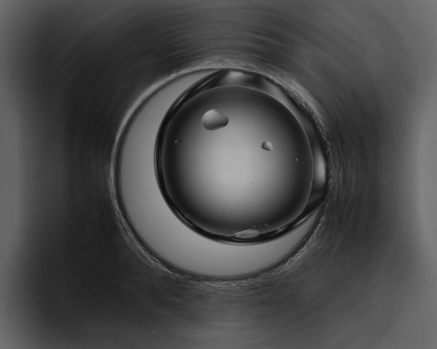 X0000095940896200801111327