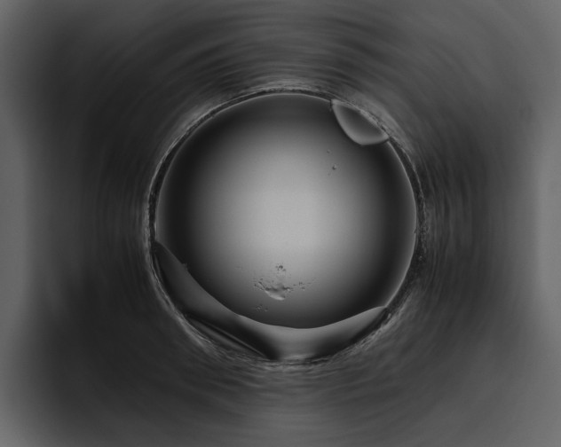 X0000095940898200801111327