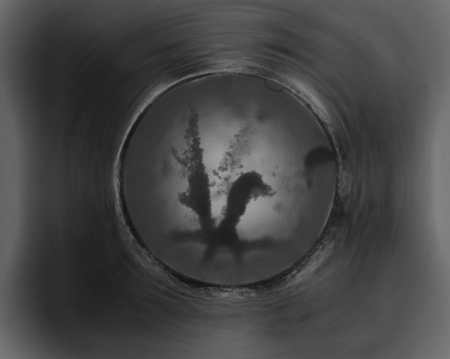 X0000095940899200801111327