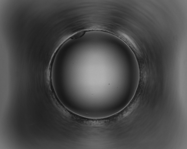 X0000095940900200801111327