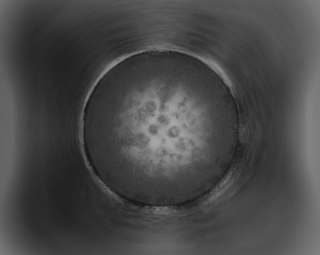 X0000095940903200801111327