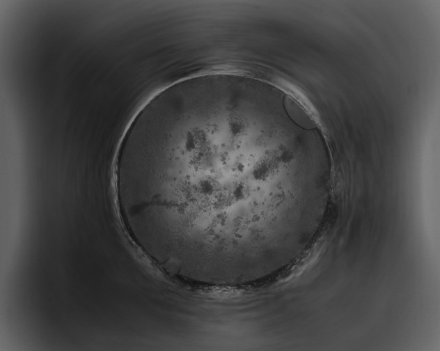 X0000095940907200801111327