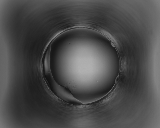 X0000095940908200801111327