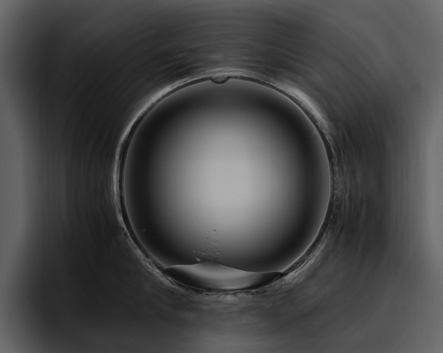 X0000095940910200801111327