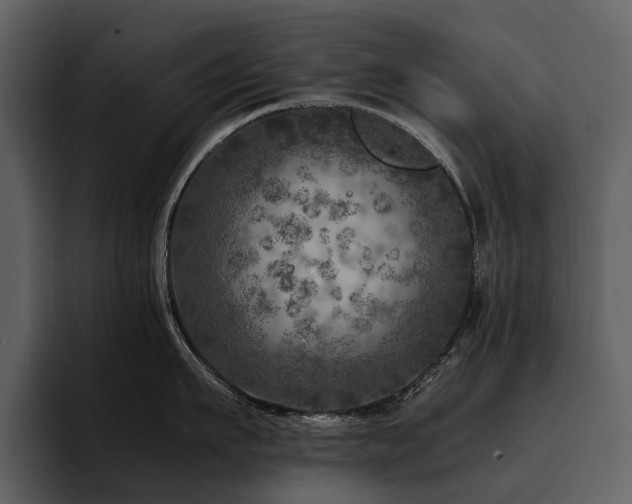 X0000095940911200801111327