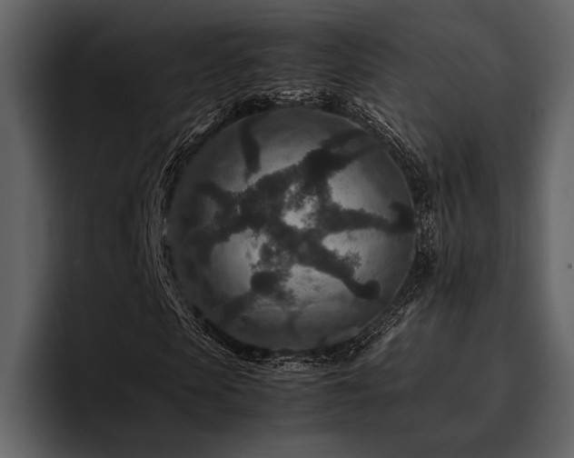 X0000095940913200801111327