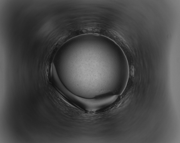 X0000095940915200801111327
