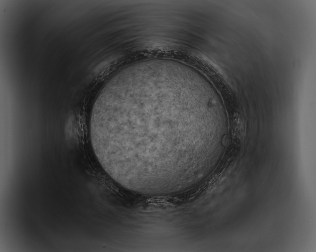 X0000095940918200801111327