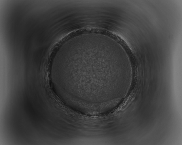 X0000095940919200801111327