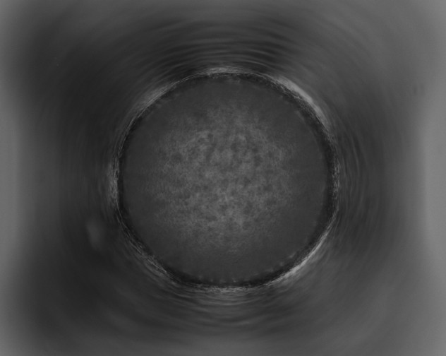 X0000095940921200801111327