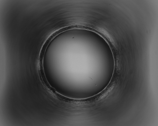 X0000095940924200801111327