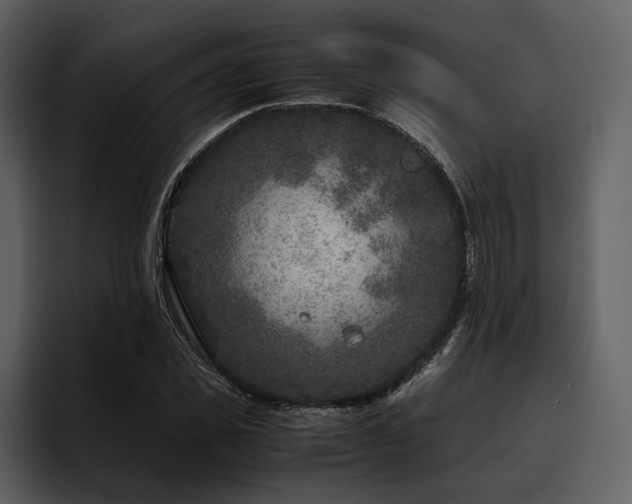 X0000095940925200801111327