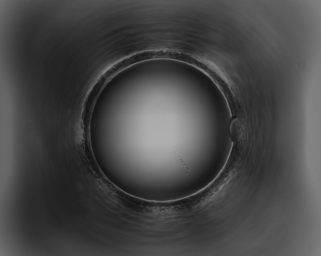 X0000095940927200801111327