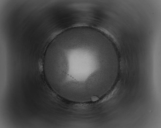 X0000095940929200801111327