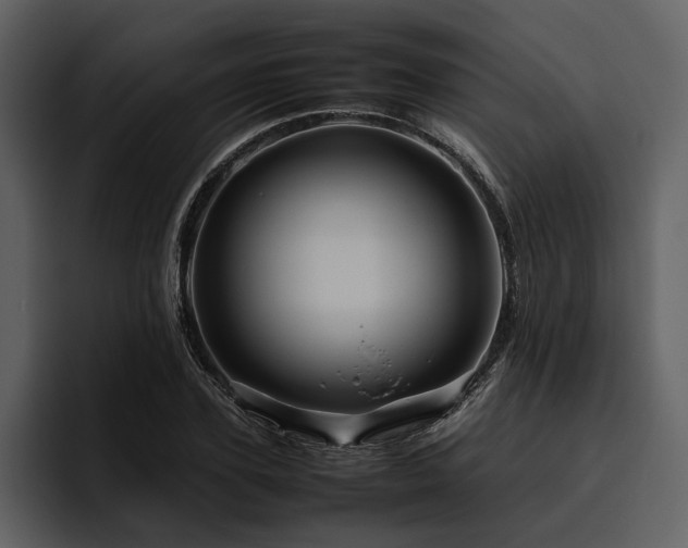 X0000095940931200801111327