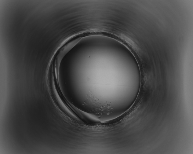 X0000095940934200801111327