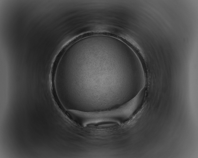 X0000095940935200801111327