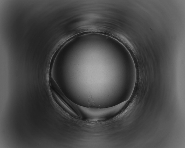 X0000095940938200801111327