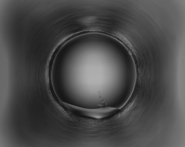X0000095940939200801111327