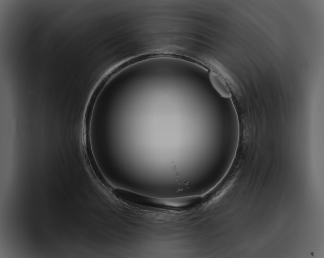 X0000095940940200801111327