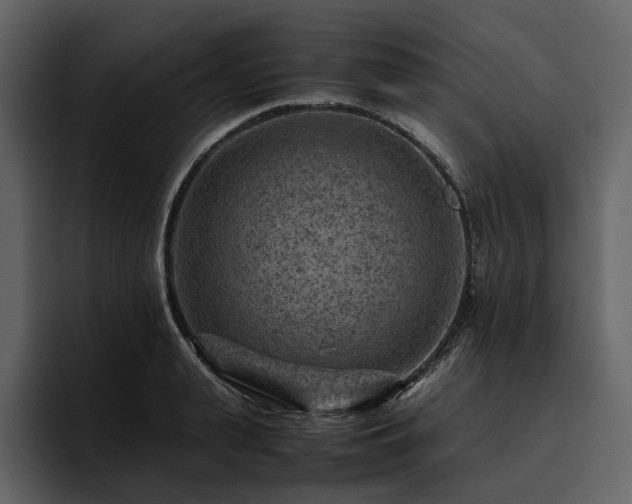 X0000095940943200801111327