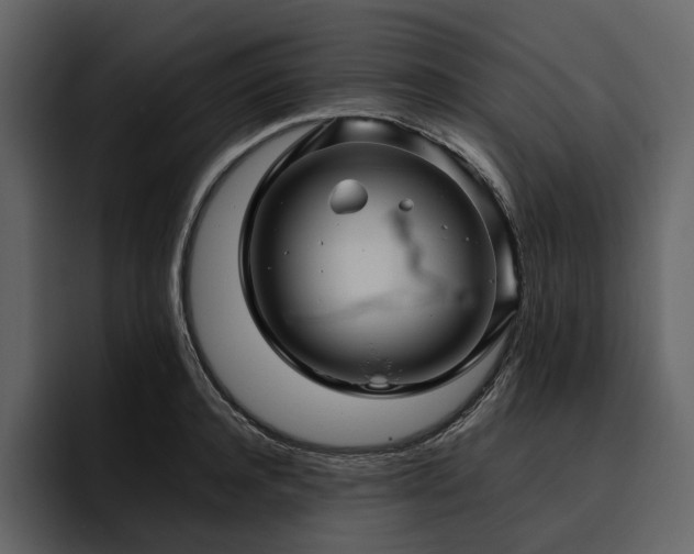 X0000095940944200801111327